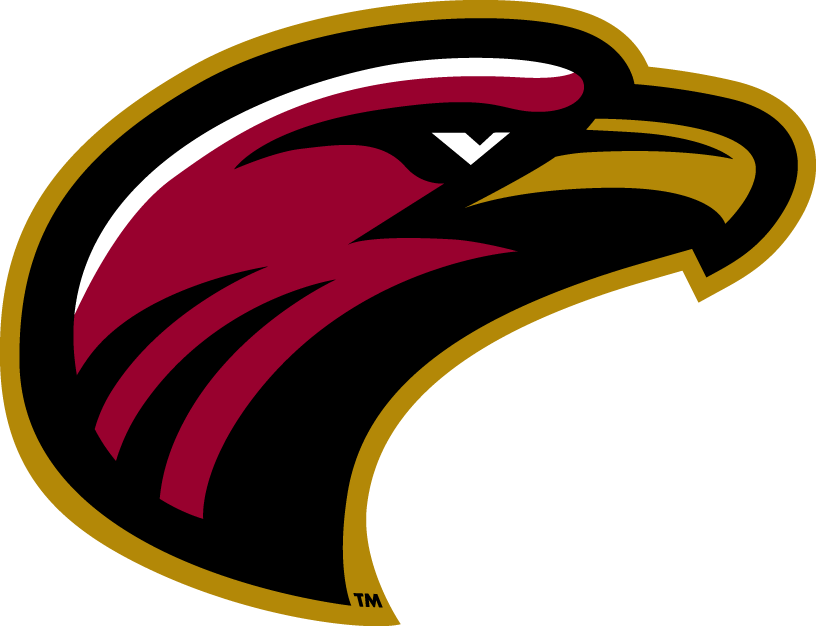 Louisiana-Monroe Warhawks 2006-Pres Alternate Logo v7 diy DTF decal sticker